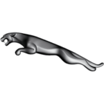 esther-turbo-jaguar